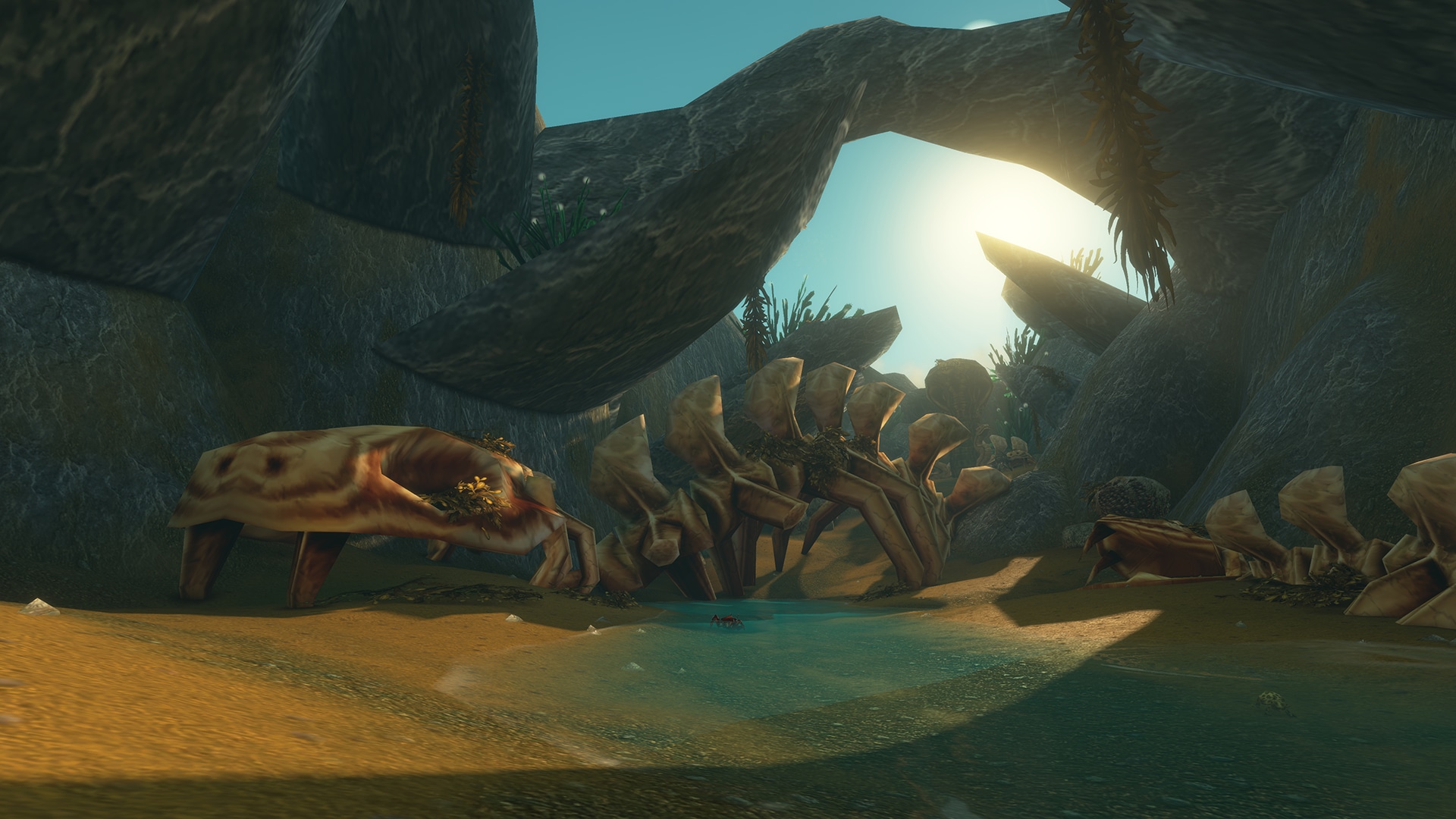 Official in-game screenshot of fossil remains at Shaper's Terrace in Un'Goro